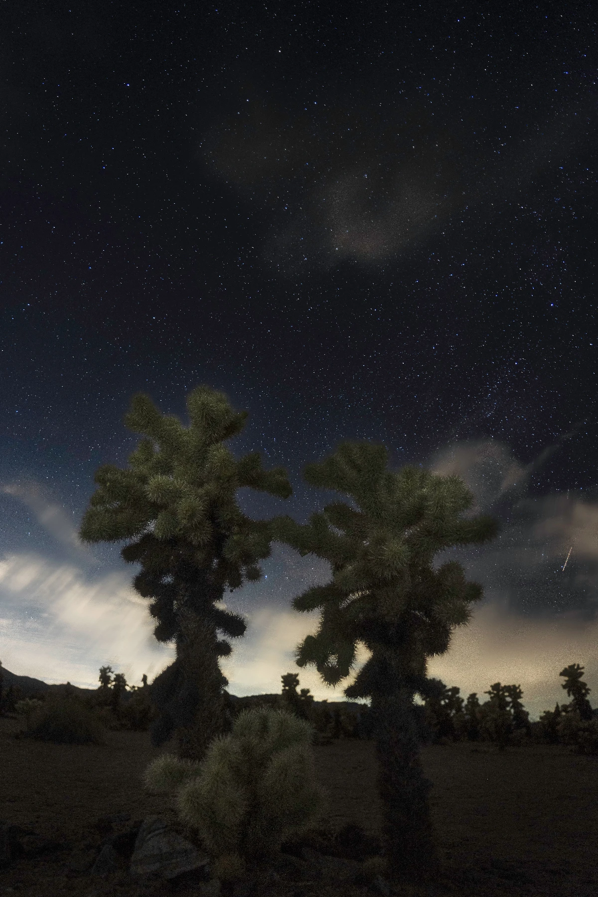 Description of image 24