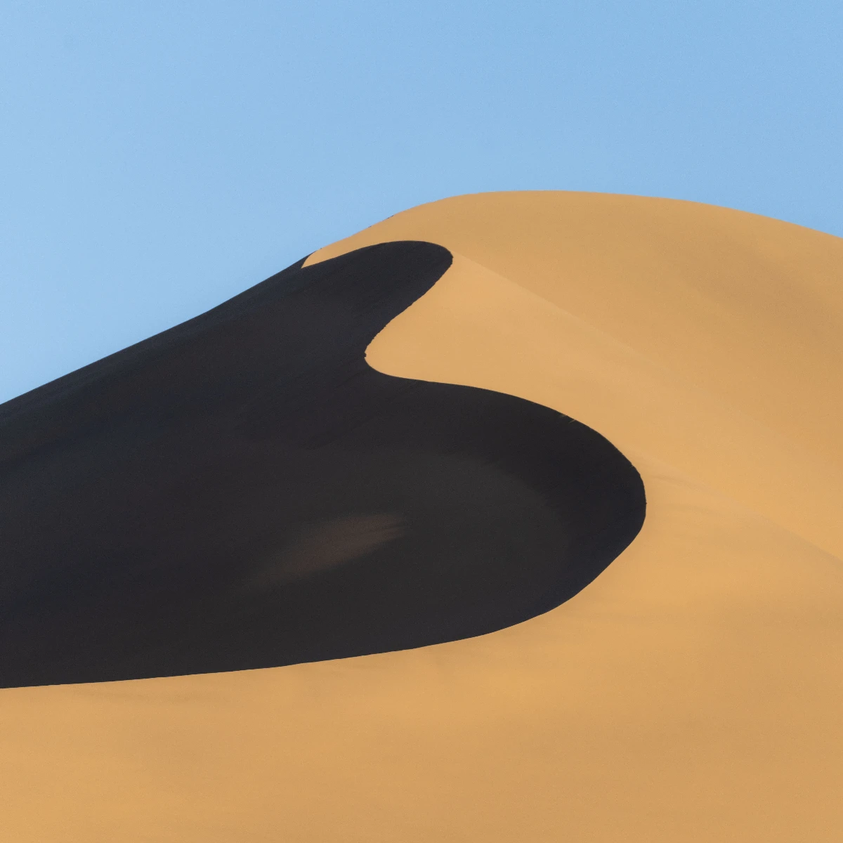 Description of image 7